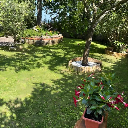 Tra Cielo E Mare Holiday home *