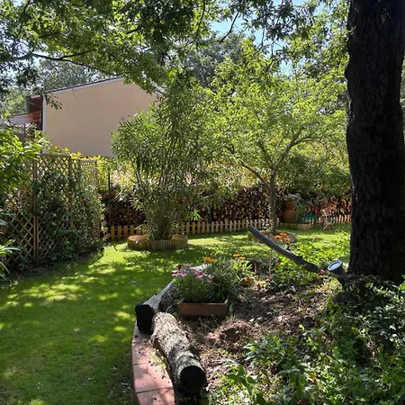 Tra Cielo E Mare Holiday home Monteverdi Marittimo